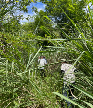 1719815755544.jpg 1719815755544.jpg